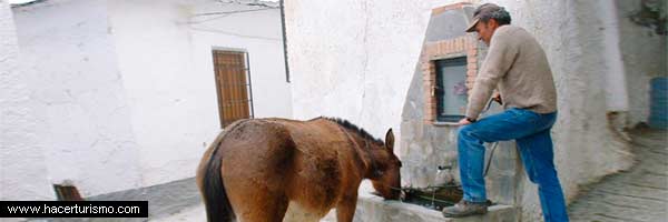 Alpujarra rural